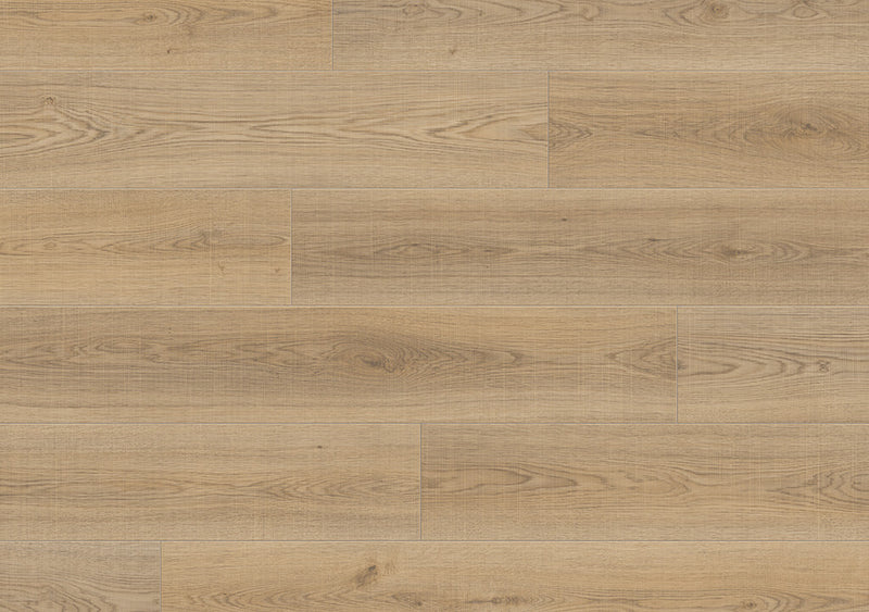 TORLYS - Rivera - Genoa Oak  (7-9/16" x 49-5/8")